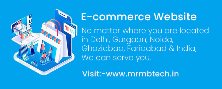 Ecommerce Web Design Company Delhi Ecommerce Development