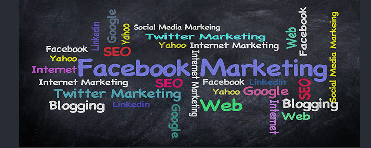 Digital Promotion for Hospitals and Ayurvedic Clinics
social-media-optimization